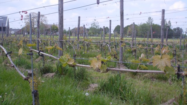 2012 HWK 041.jpg